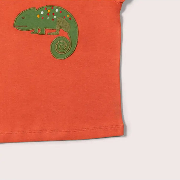 Little Green Radicals organic Lizard appliqué short sleeve t-shirt, closeup