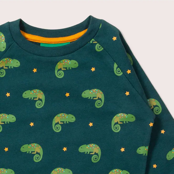 Little Green Radicals organic Raglan sweatshirt- little lizard, closeup