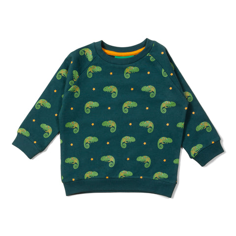 Little Green Radicals organic Raglan sweatshirt- little lizard