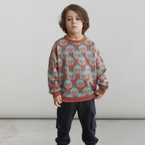 Boy wearing Mainio organic Sweatshirt- snow monkey