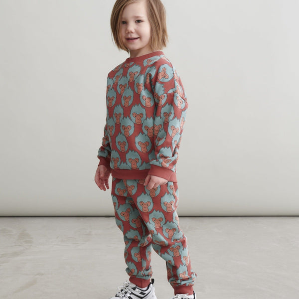 Boy wearing Mainio organic Sweatshirt- snow monkey