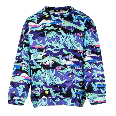 Mullido organic Sweatshirt- northern lights