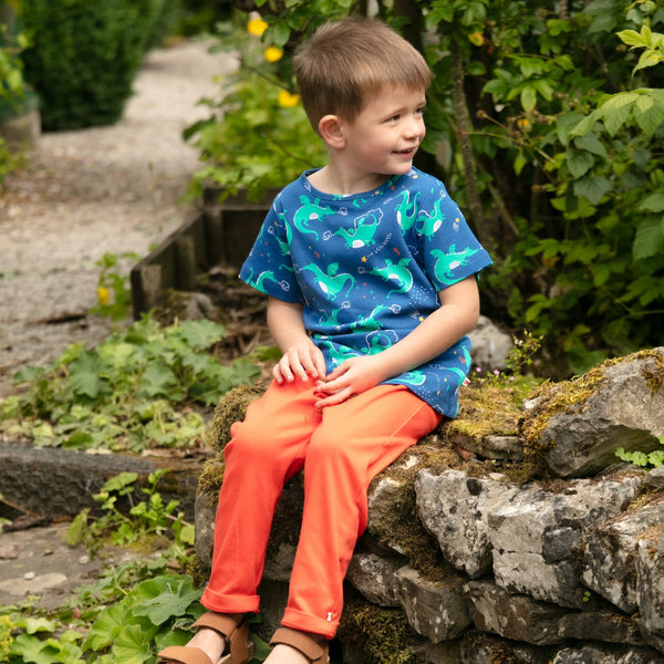 Boy wearing Piccalilly organic All over print t-shirt- magic dragon