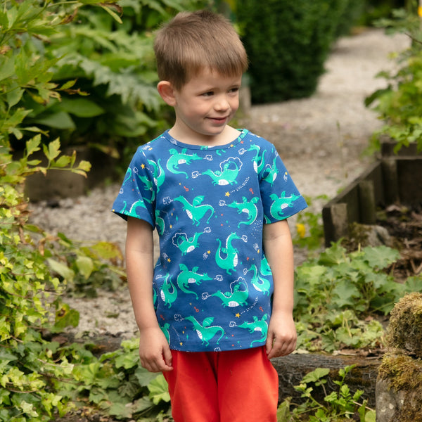 Boy wearing Piccalilly organic All over print t-shirt- magic dragon