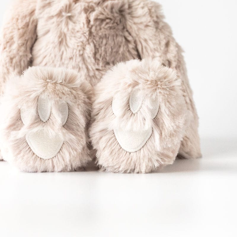 Sloth Plush Toy & Routines Books Set