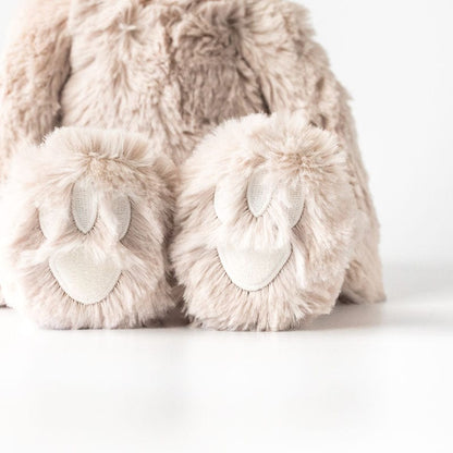 Sloth Plush Toy & Routines Books Set