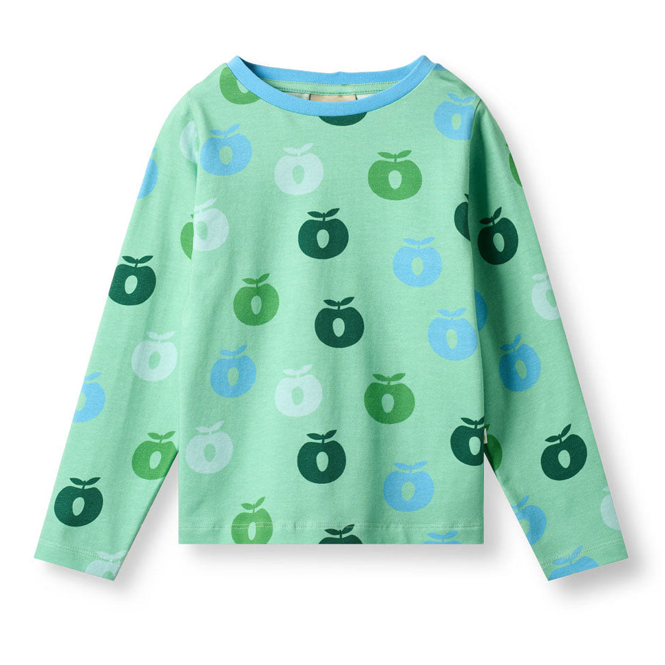 Småfolk Organic Long Sleeved Kids' T-shirt- Apples, Spring Meadow