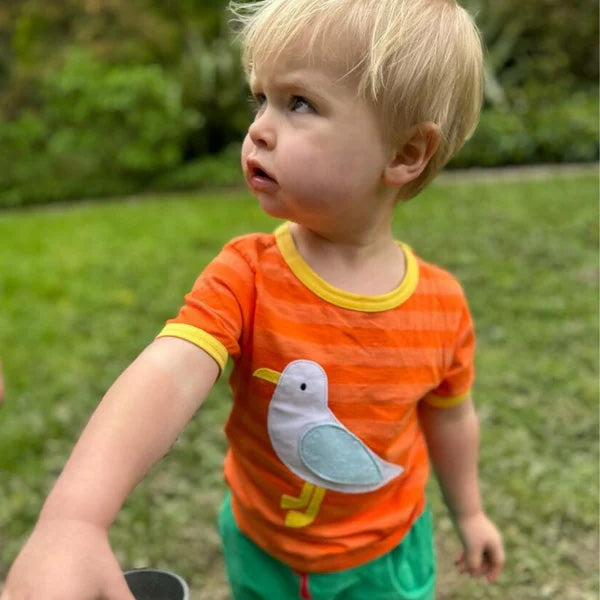 Boy wearing Toby Tiger organic Short sleeve t-shirt: seagull appliqué