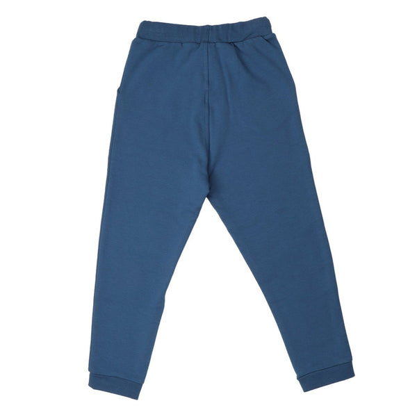 Walkiddy organic Joggers- navy blue, back