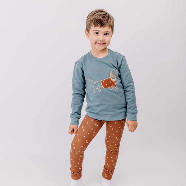 Boy wearing Walkiddy organic Sweatshirt- dachshund