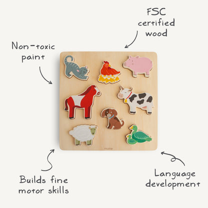 Wooden Puzzle- Various Shapes