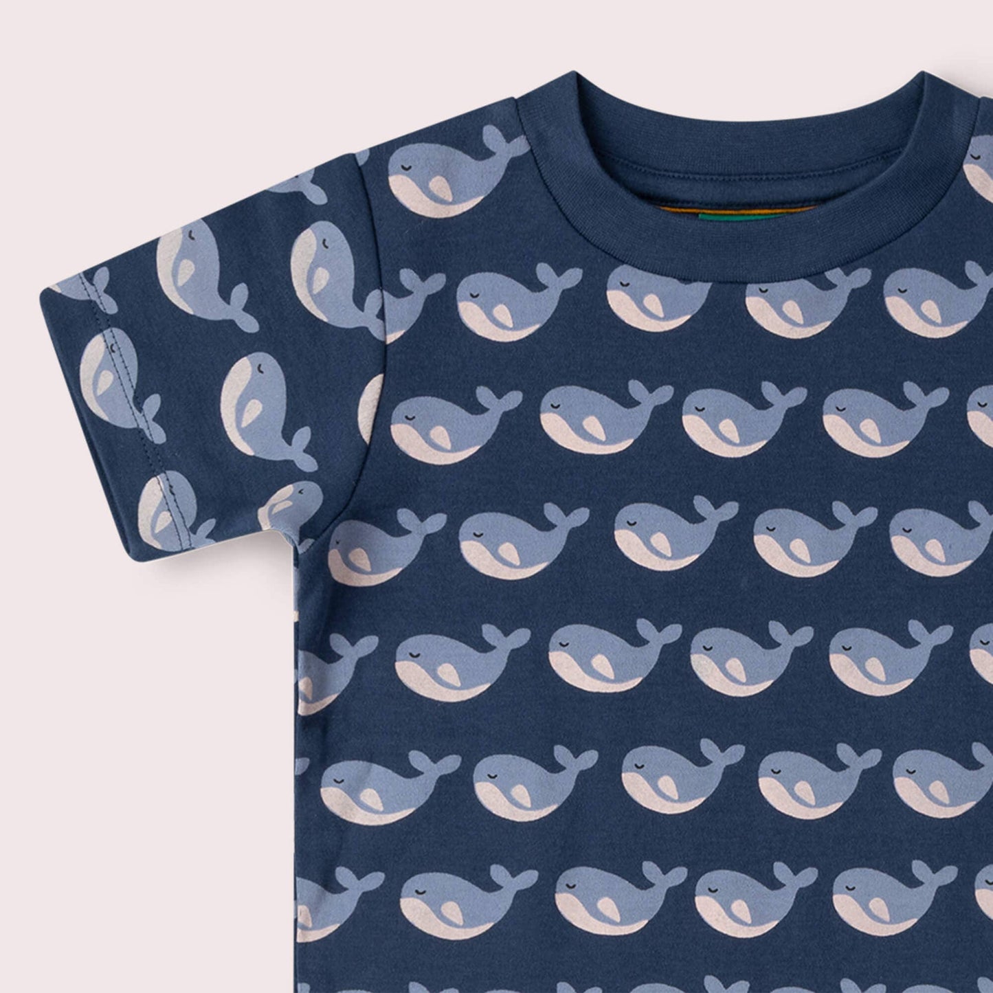 Organic Cotton Short Sleeve T-Shirt - Whales | Little Green Radicals
