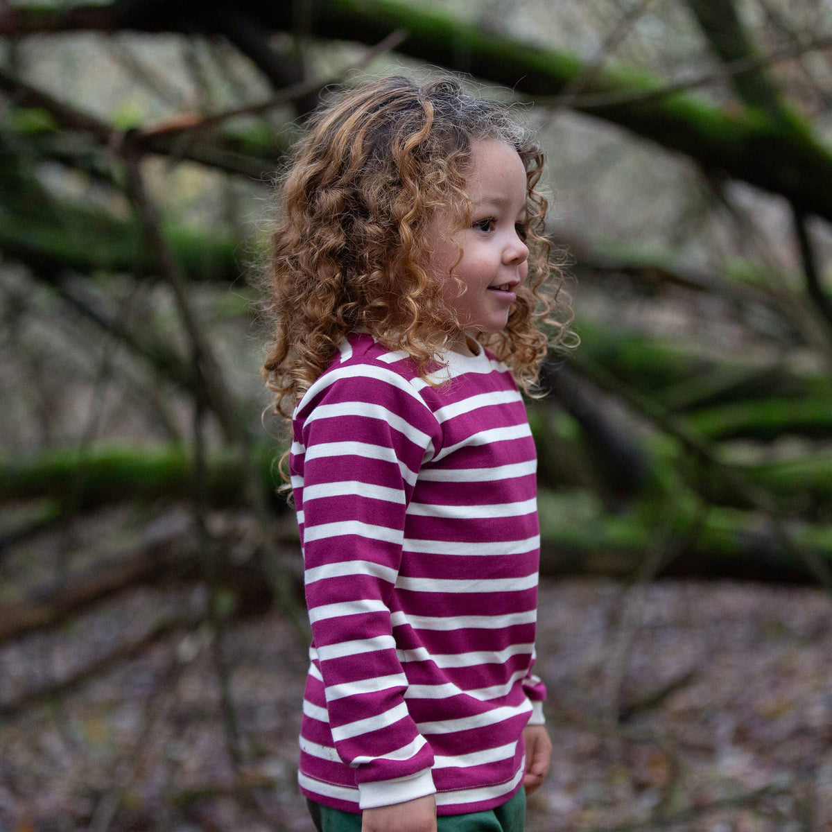 Little Green Radicals Organic Cotton Long Sleeve T-Shirt - Berry Striped