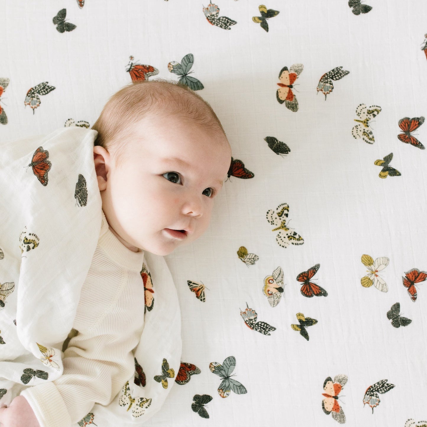 Cotton Muslin Crib Sheet - Butterfly Migration