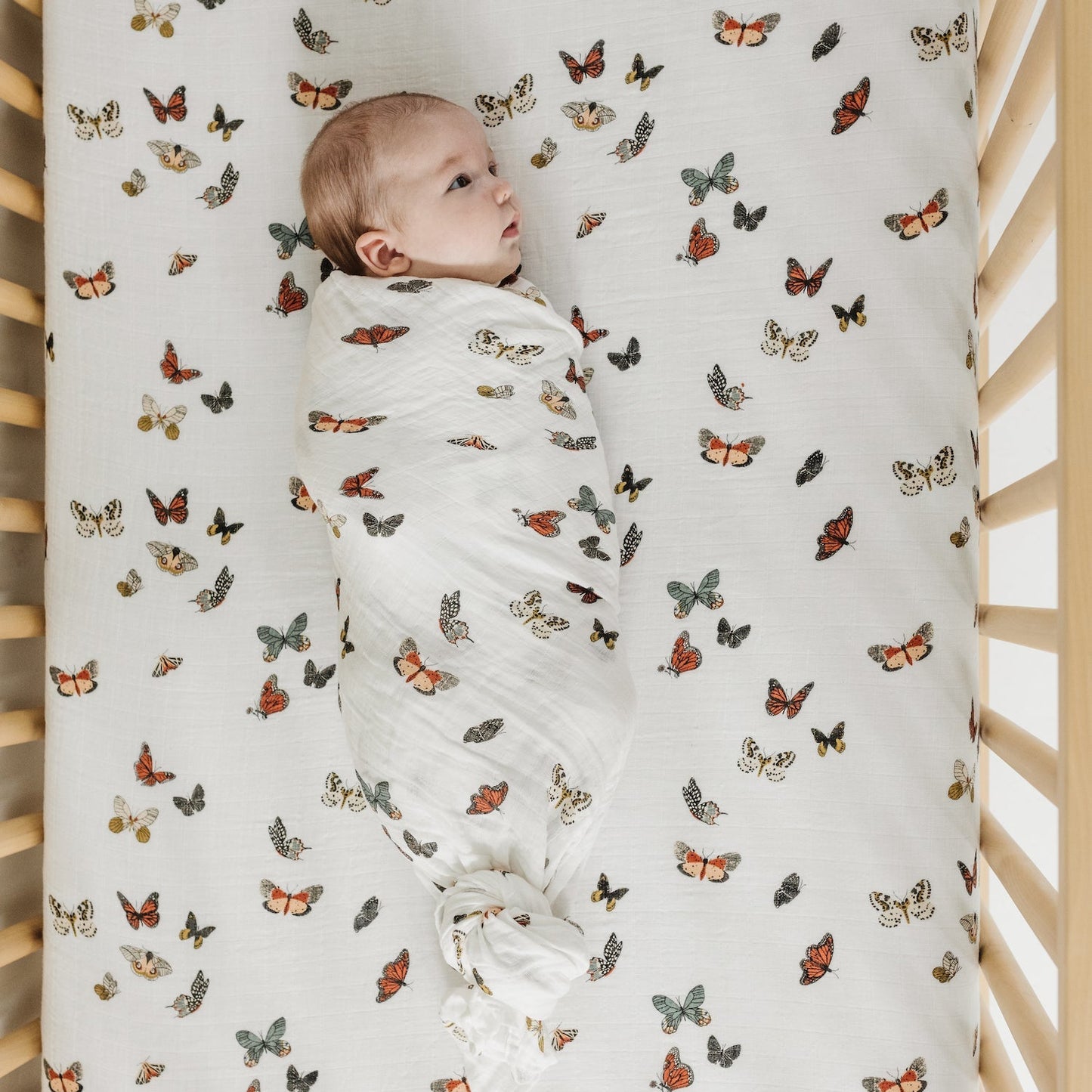 Cotton Muslin Crib Sheet - Butterfly Migration