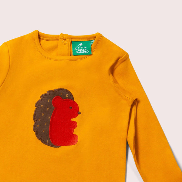 Little Green Radicals Organic Long sleeved t-shirt- hedgehog appliqué, closeup