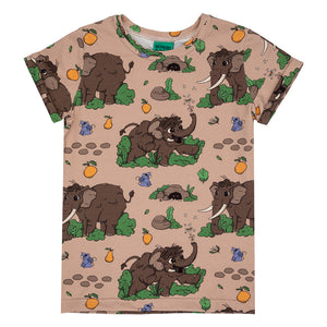 Raspberry Republic organic Short sleeve t-shirt- woolly mammoth