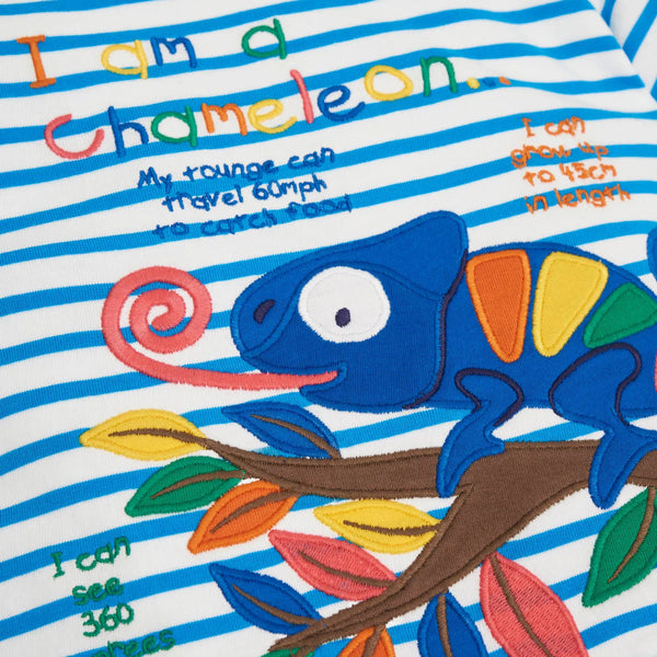JoJo Maman Bebe Chameleon appliqué t-shirt, closeup