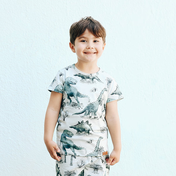Boy wearing Walkiddy organic Short sleeve shirt- dinosaur land