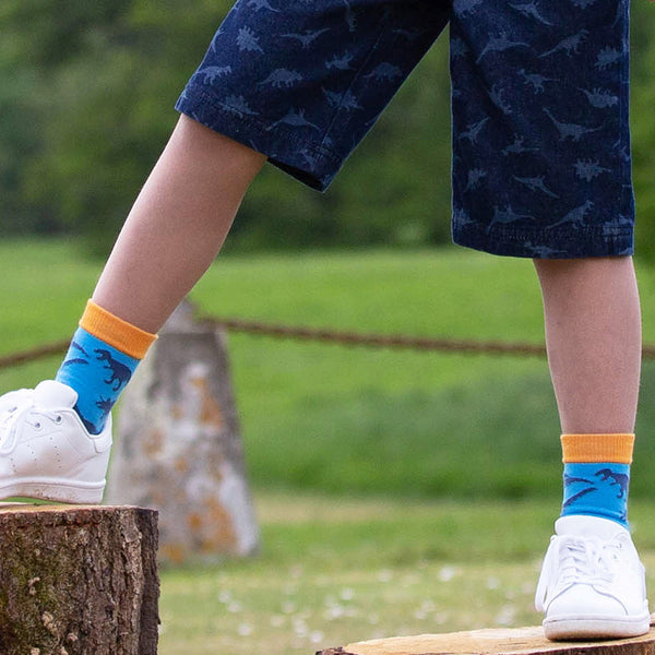 Boy wearing Kite Clothing organic Dinosaur socks
