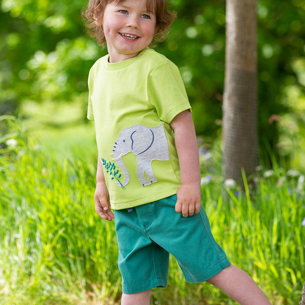 Boy wearing Kite Clothing organic Yacht shorts- green