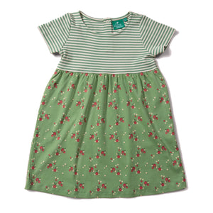 Little Green Radicals Grow your own easy peasy dress