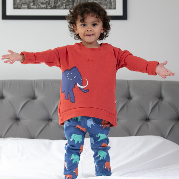 Boy wearing Piccalilly Sweatshirt- mammoth appliqué