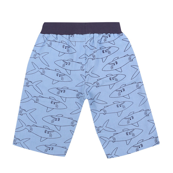 Lilly + Sid Shark print board shorts, back